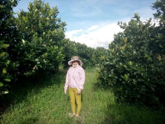 Gương phụ nữ điển hình làm kinh tế giỏi ở huyện Krông Bông