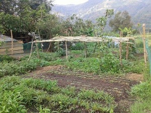 Hội LHPN huyện Krông Bông triển khai thực hiện hoạt động hỗ trợ phụ nữ khởi nghiệp, khởi sự kinh doanh năm 2017