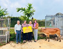Hội LHPN thị xã Buôn Hồ phối hợp trao bò sinh sản cho hội viên, phụ nữ nghèo