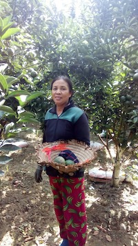 Mô hình sản xuất đạt hiệu quả kinh tế cao của hội viên phụ nữ TP. Buôn Ma Thuột