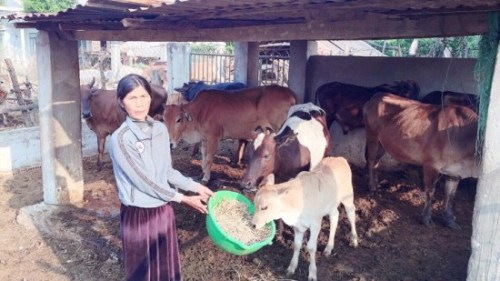 Người phụ nữ dân tộc Êđê làm kinh tế giỏi ở xã Dang Kang, huyện Krông Bông